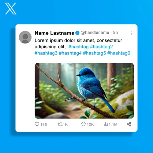 Twitter Post